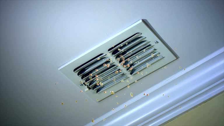 Best Dryer Vent Cleaning Services  in Blissfield, MI