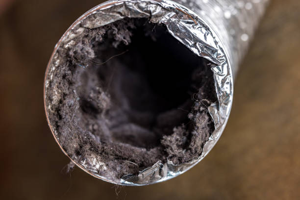 Best Residential Air Duct Cleaning  in Blissfield, MI