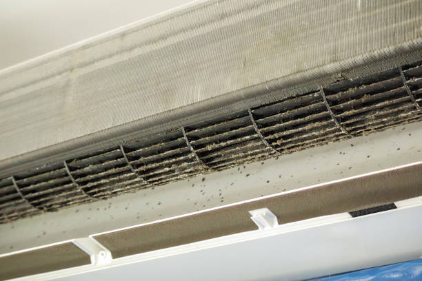 Best Air Duct Cleaning Near Me  in Blissfield, MI