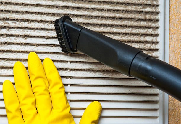 Best Best Air Duct Cleaning Company  in Blissfield, MI