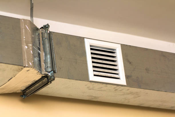 Best Dryer Vent Cleaning Services  in Blissfield, MI